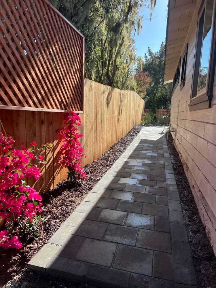 Paver walkway beside a lattice-topped wood fence panel and bougainvillea