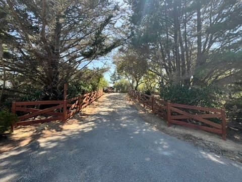 Matching crossbuck fencing on both sides of a wooded driveway