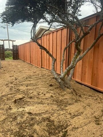 Redwood privacy fence with a tree in front of it